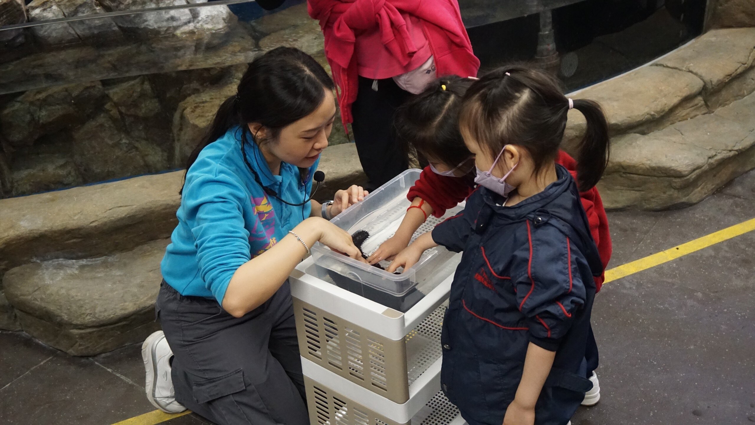 「六五環境日」 — 園內活動報名 (只適用於幼稚園)