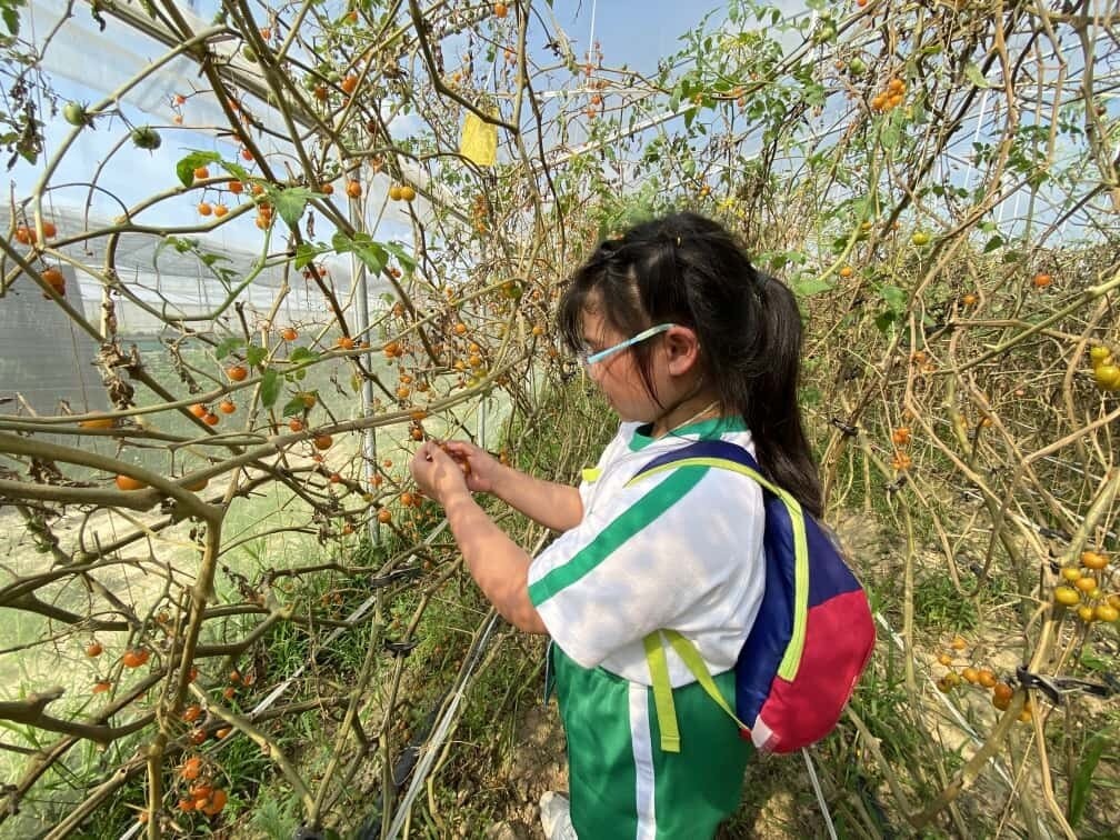 「校園實習農夫計劃」 農莊體驗活動